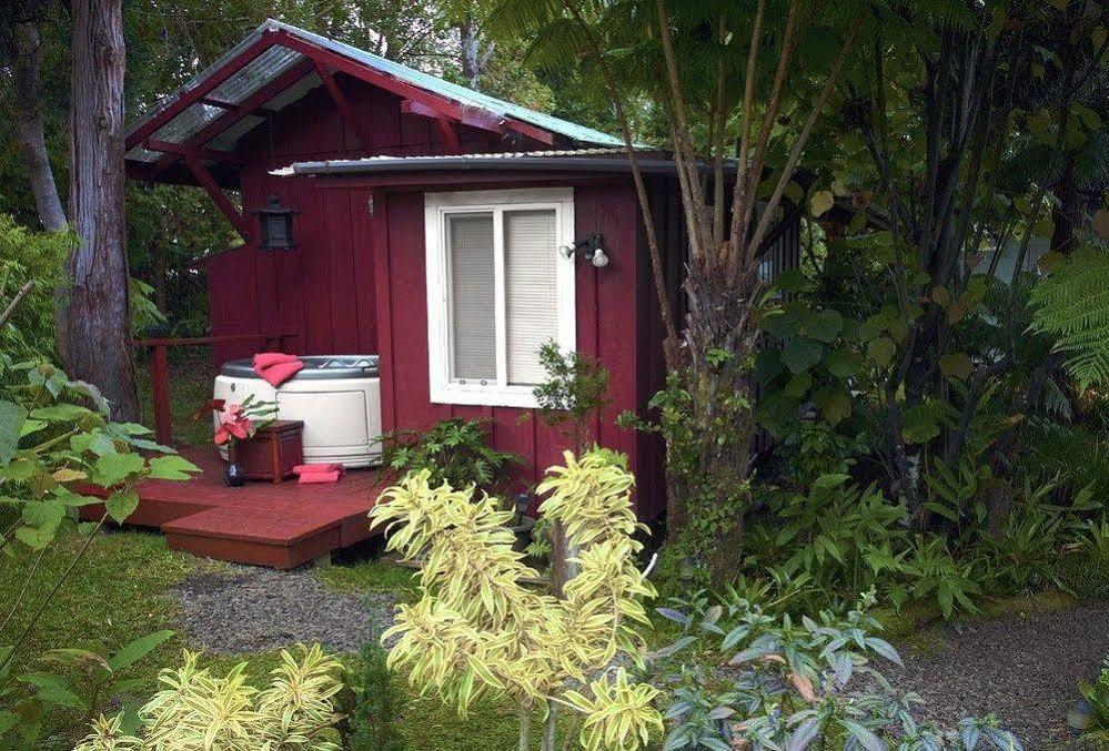 Volcano Artist Cottage Zewnętrze zdjęcie